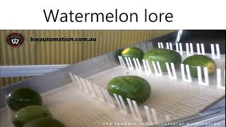 watermelon lore [upl. by Terris]