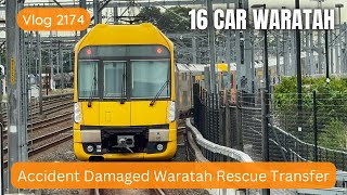 Sydney Trains Vlog 2174 Accident Damaged Waratah Rescue Transfer  16 Car Waratah [upl. by Anahpets208]