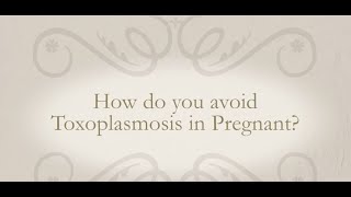 How do you avoid Toxoplasmosis in Pregnancy [upl. by Eocsor506]