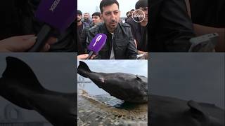 Balina suya buraxıldıMaketdən Milləti səriyiblərbalina bakuwhaleazərbaycan [upl. by Marquita]