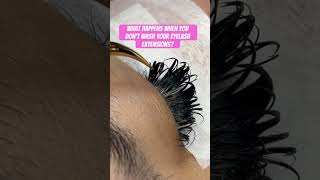 Dirty Eyelash Extensions Lash Extension Cleaning lashextensions like diy onlinelearning foryou [upl. by Yeuh]