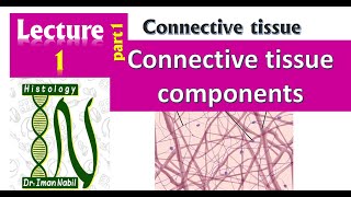 1aConnective tissue componenets part1Ground substances  Histology [upl. by Denni]