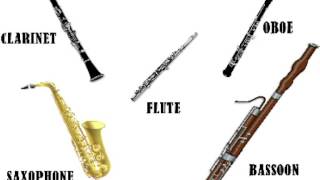 EXERCISE 23 WHICH IS WHICH WOODWIND [upl. by Mode219]