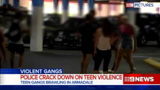 Armadale Brawl  9 News Perth [upl. by Alrrats893]