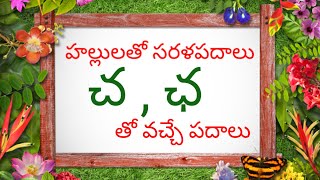 Hallulatho Sarala Padalu in Telugu l  చ  ఛ  తో వచ్చే సరళ పదాలు [upl. by Skolnik]