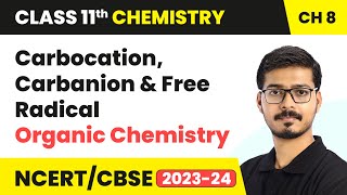 Carbocation Carbanion and Free Radical  Organic Chemistry  Class 11 Chemistry Chapter 8 [upl. by Groveman]