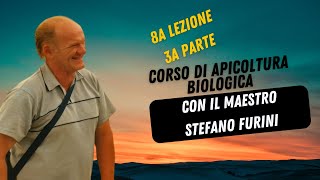 26  CORSO DI APICOLTURA BIOLOGICA  Asphodel Honey  con il maestro Stefano Furini Lezione 8 Parte3 [upl. by Ellak]