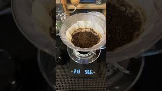 Brewing specialty coffee bean pour over Le Tor Gold [upl. by Hutner905]