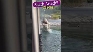 Best Shark Attack Universal Studios Los Angeles Jaws [upl. by Jerz324]