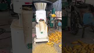 cattle feed manufacturing plant goat feed pellet making machine [upl. by Yrrat]