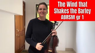 The Wind that Shakes the Barley  Trad Irish  ABRSM violin grade 1 2024 [upl. by Hannej]