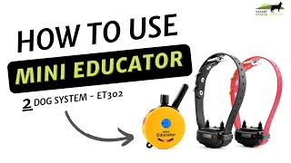 How to use your 2 Dog System Mini Educator  Et 302 Two Dog System from ECollar Technologies [upl. by Aiym99]