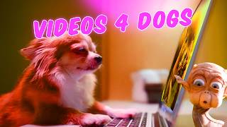 Internet Comment Etiquette quotVideos for Dogsquot [upl. by Ott363]