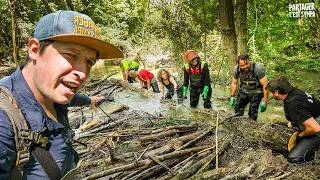 Chantier Castor avec Baptiste Morizot  la rivière RÉPOND FORT [upl. by Savell185]