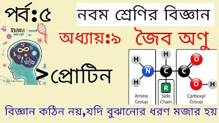 প্রোটিন  জৈব অণু নবম শ্রেণির বিজ্ঞান অধ্যায় ৯  পর্ব ৫  Class 9 Science chapter 9  Class 9 [upl. by West]