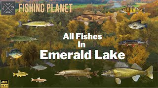 Fishing Planet  All Fishes In Emerald Lake [upl. by Ribal]