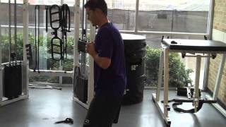 Cable Pallof Press  AntiRotational Trunk Stability [upl. by Yelroc743]