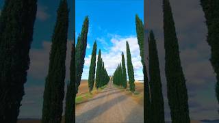 Val dOrcia Tuscany Italy 이탈리아 토스카나 발도르차 [upl. by Eicnarf]