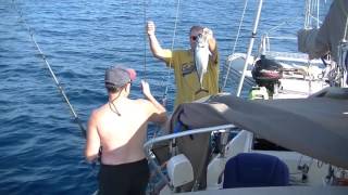 First day at sea 1100 miles to go Ep2 Sailing Galapagos from Mexico [upl. by Yvad]