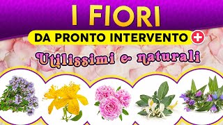 I Fiori da pronto intervento Utilissimi e naturali ► Puntata 194 [upl. by Carlyle]