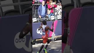 New York Marathon 2024 Mens [upl. by Krahling]