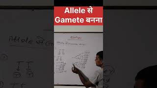 Allele से Gamete बननाvarl sorts NCERT physics Our study room Udayrajsir17 [upl. by Einnej]