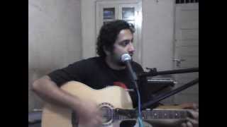 Back in the High Life Again Warren Zevon Steve Winwood Cover by Sujit [upl. by Naesal]