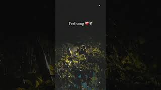 Feel Song ❤️‍🩹🕊️ song shorts youtube trending viralshorts music [upl. by Coit]