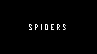 hørd  Spiders 2024 [upl. by Lyram]