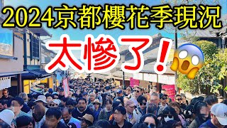 【日本旅遊】旅遊體驗太悲慘了！2024年京都櫻花季现况🌸京都賞櫻名所・日本櫻花季・京都自由行攻略・京都旅遊・京都美食・日本自由行・清水寺・花見小路・八阪神社・祇園白川・京都站・Japan Kyoto [upl. by Bilak368]