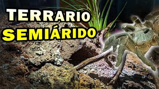 Montando nuevo terrario para Ceratogyrus darlingi tarantula cornuda africana [upl. by Trakas453]