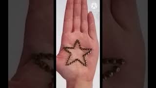 Star shape mehndi design plzz subscribe trending mehndi viral shortvideo [upl. by Lazarus]