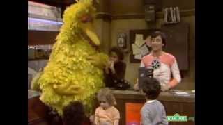 Classic Sesame Street  Big Birds Home Movie [upl. by Yeldahc78]