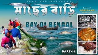 মাছের বাড়ি বঙ্গোপসাগর  Deep sea Fishing  Epic Catch Cook and Eat Adventure  Part19 [upl. by Zetnwahs]