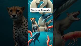 Unglaubliche tierische Rekorde tiere shorts facts fakten newvideo wildlife wissen record [upl. by Idroj]