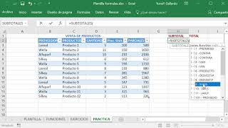 Cómo sacar Totales y Subtotales en EXCEL [upl. by Nomelihp]