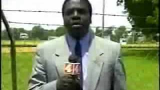 Bug Flies Into Reporters Mouth [upl. by Hilton]