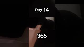 365 pushup challenge  day 15 meditatewithgibsonshorts pushupchallenge pushups fitness [upl. by Kosse]