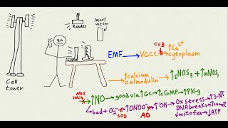 AO alert How do cell phones effect your brain [upl. by Ydniw756]