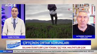 CANLI Çiftçinin Ortak Sorunları Sulama İşçi Bulamama ve Maliyet  Tarım Yazarı Ali Ekber Yıldırım [upl. by Naugan]