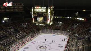 NHL 2K10 arenas [upl. by Dannon]