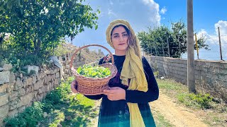 Village life in Iran  Nomadic life in the mountains [upl. by Liuqnoj404]