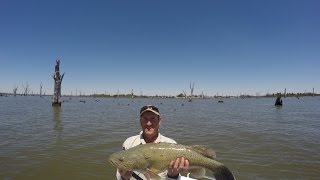 Lake Mulwala Murray cod Fishing 2016 [upl. by Pansie]