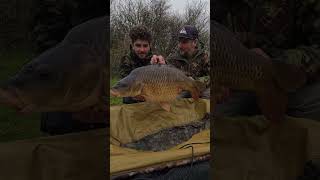 Taking the lead in the British Carp Champs [upl. by Llezniuq]