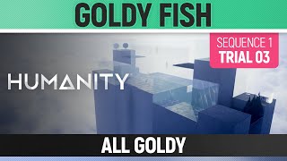 Humanity  All Goldy  Goldy Fish  Sequence 01 Trial 03 [upl. by Htidirrem607]