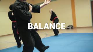 Bujinkan Shugendo Dojo Würzburg [upl. by Ahseym264]