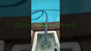 Cleaning Pool [upl. by Carder]