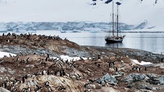 We went to Antarctica on a wooden sailing ship We met whales and other inhabitants of the ice world [upl. by Alexandro]