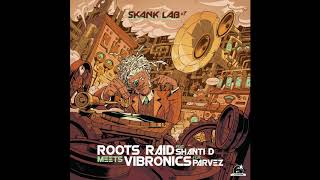 Vibronics ft Parvez  Healing of The Nation  Roots Raid Remix [upl. by Charlotta]