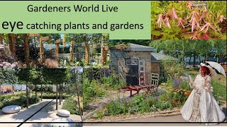 Gardeners World Live 2023 eye catching plants and gardens [upl. by Lubba]